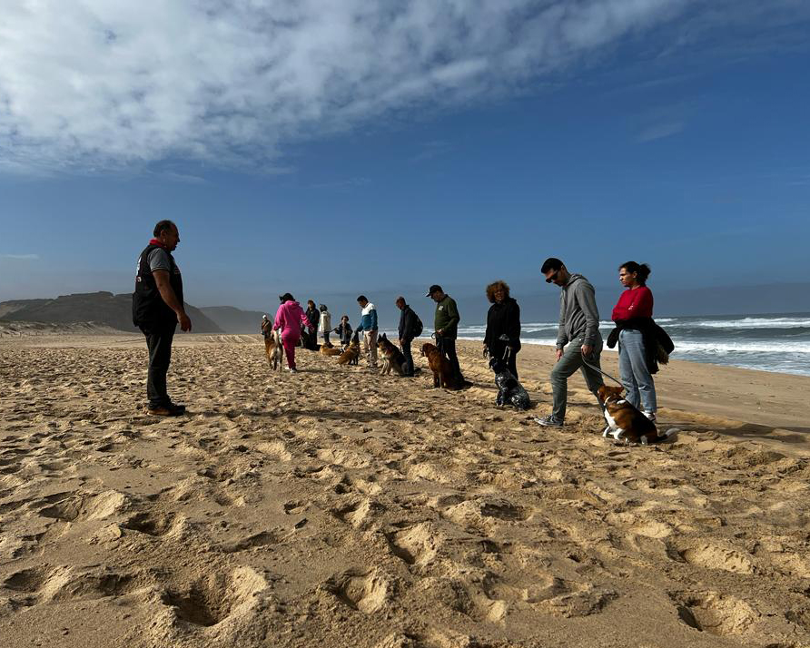 Aula de grupo na praia