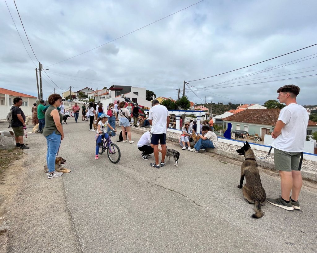 Área exterior para cães na Elite K9