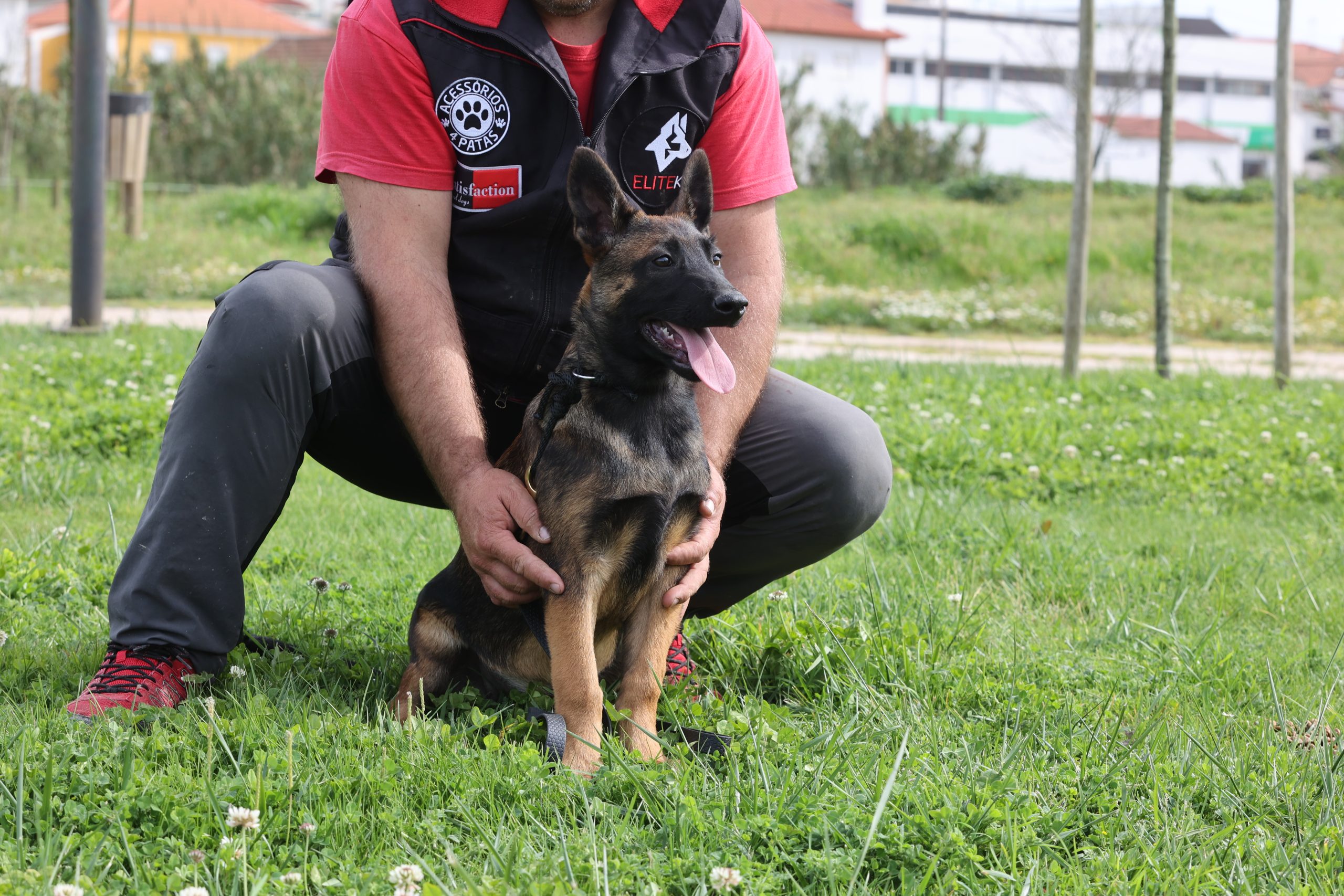 Treinador da Elite K9 com cão em campo de treino