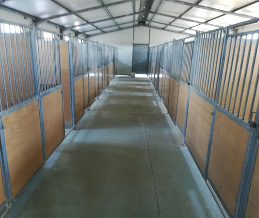 Boxes interiores do hotel canino Elite K9