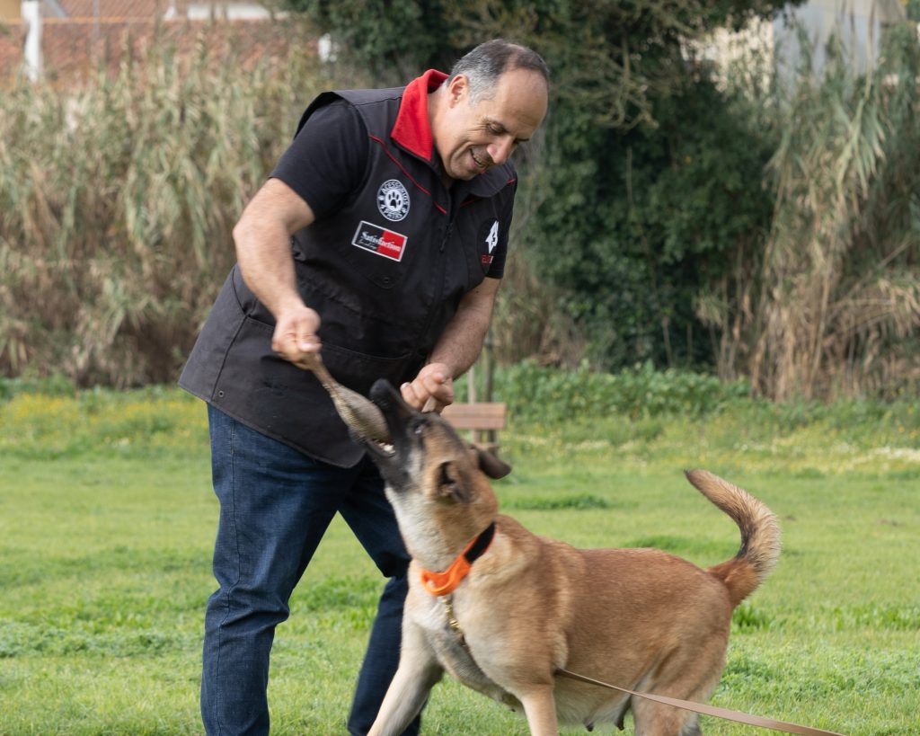 Treinador da Elite K9 com cão em campo de treino